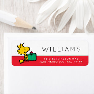 Peanuts   Woodstock Christmas Gift