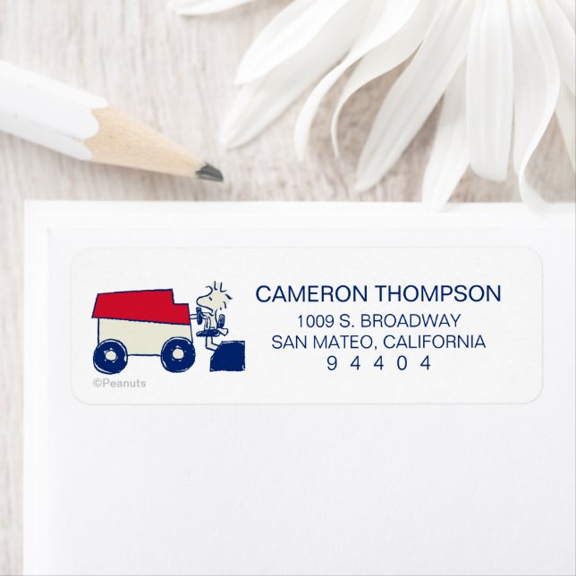 Peanuts | Woodstock Ice Resurfacing Machine (Insitu)