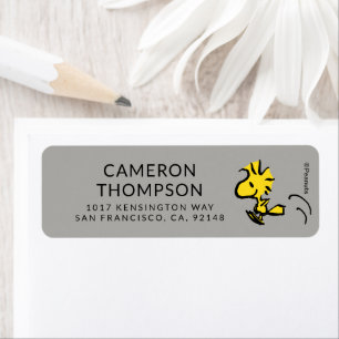 Peanuts Woodstock Jumping