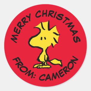 Peanuts   Woodstock   Merry Christmas Classic Round Sticker