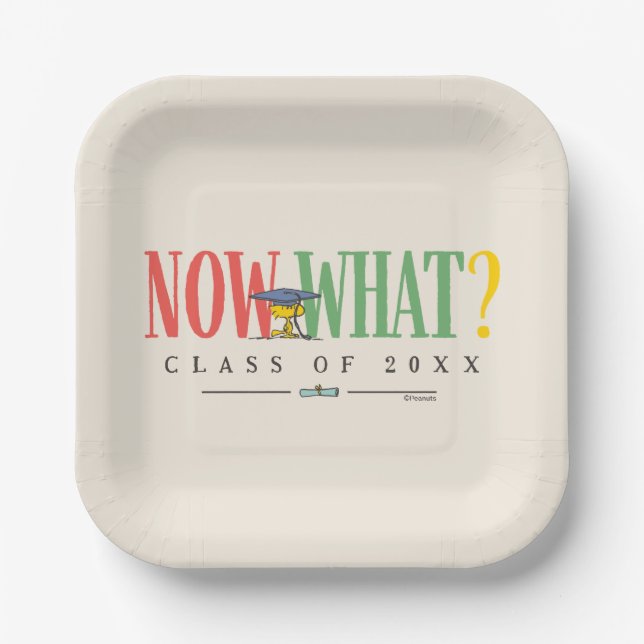 Peanuts Woodstock Now What Graduation Funny Quote Paper Plate (Front)