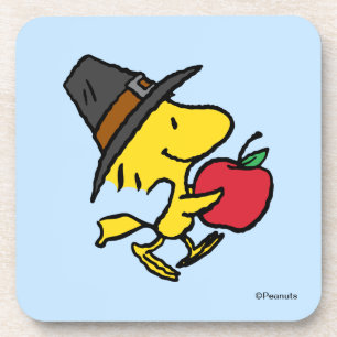 Peanuts Woodstock Pilgrim Coaster