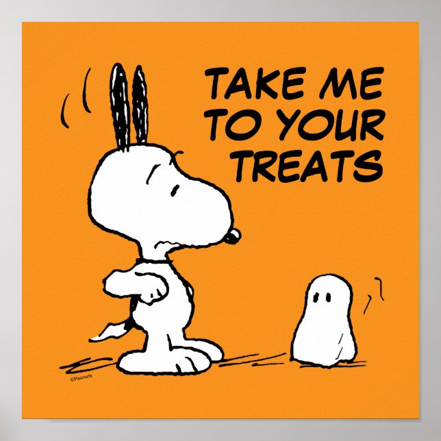 Peanuts | Woodstock Scares Snoopy Poster (Front)