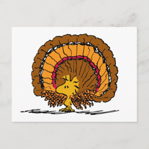 Peanuts   Woodstock Turkey Postcard