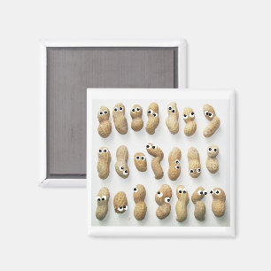 Peanutty Magnet