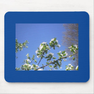 Pear Blooms In Deep Blue Sky Mouse Mat