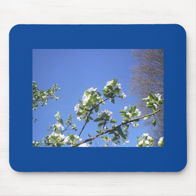 Pear Blooms In Deep Blue Sky Mouse Mat (Front)