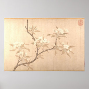 Pear Blossoms Antique Oriental ca.1280 Poster