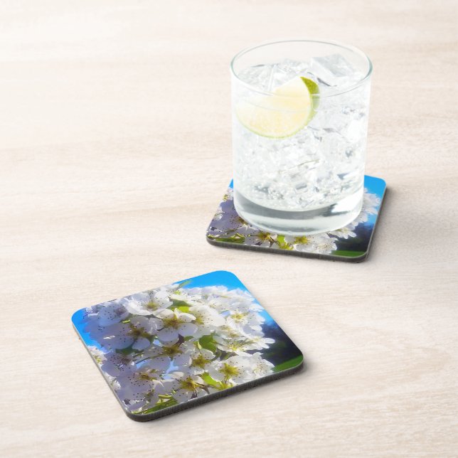  Pear Blossoms  Coaster (Right Side)