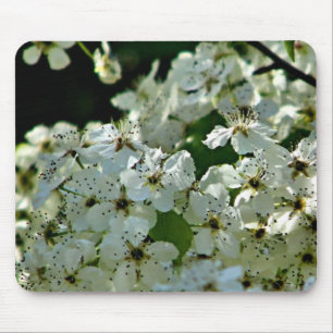 Pear Blossoms in bloom Mouse Mat