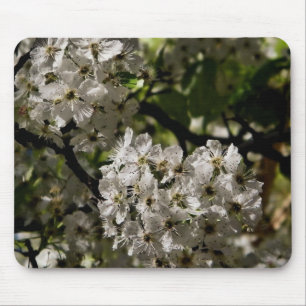 Pear blossoms mouse mat