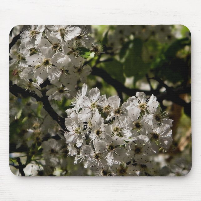 Pear blossoms mouse mat (Front)