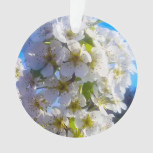 Pear Blossoms  Ornament
