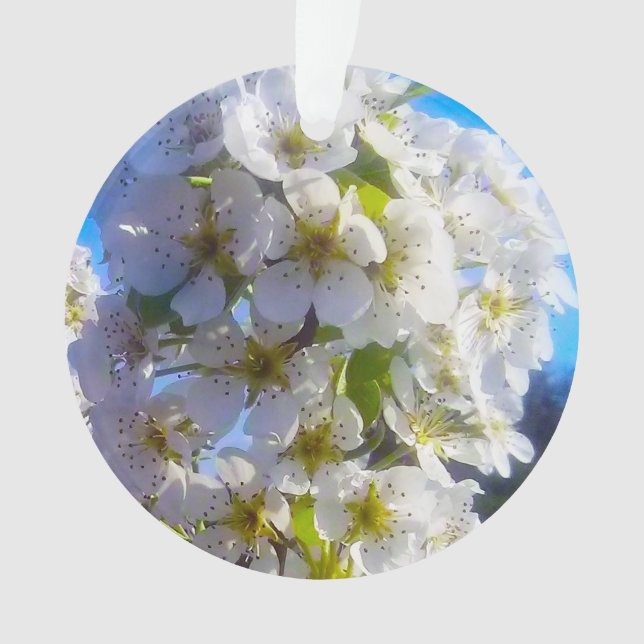  Pear Blossoms  Ornament (Front)