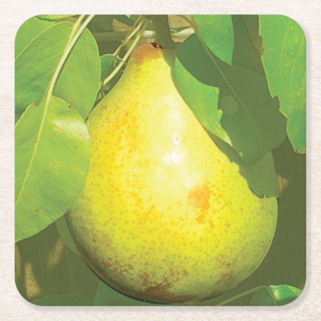 Pear Coaster (Front)