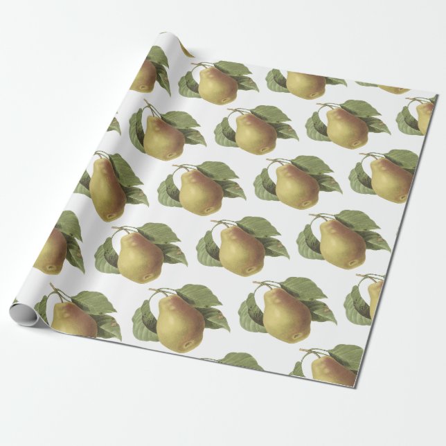 Pear Pattern Wrapping Paper (Unrolled)