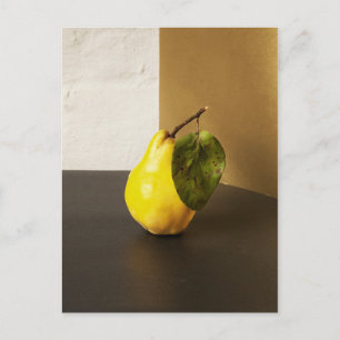 Pear Still Life postcard