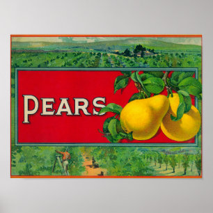 Pear Stock Crate Label Poster