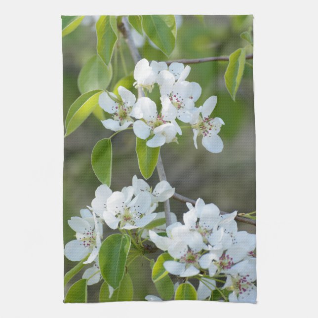 Pear tree blooming tea towel (Vertical)