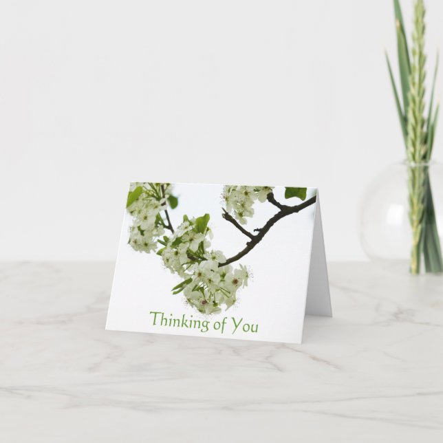 Pear Tree Branch Card (Front)