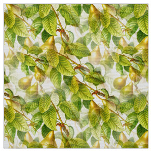 Pear Tree Branches & Pears Pattern Fabric