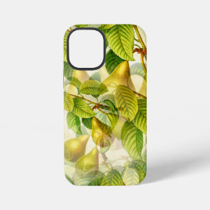 Pear Tree Branches & Pears Pattern iPhone 12 Mini Case