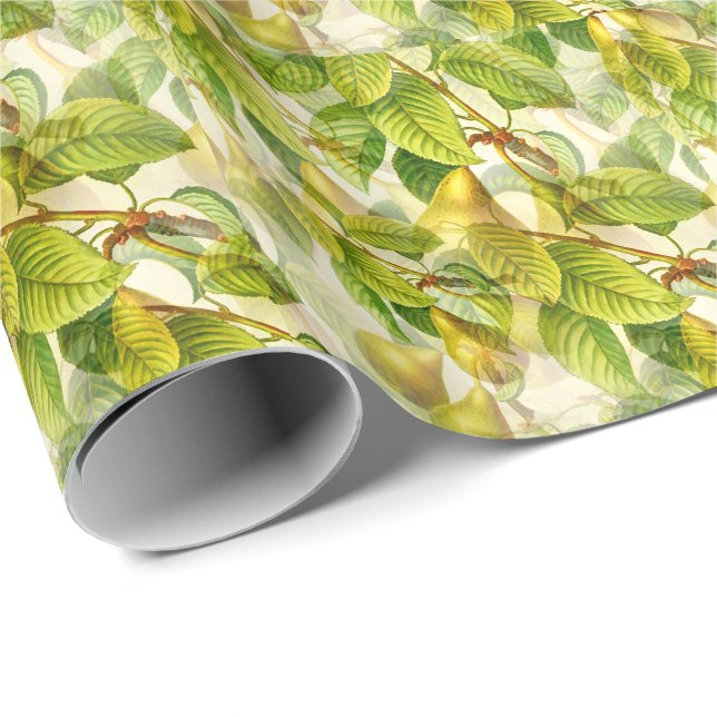 Pear Tree Branches & Pears Pattern  Wrapping Paper (Roll Corner)