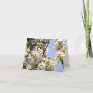 Pear Tree Flowers Note Card