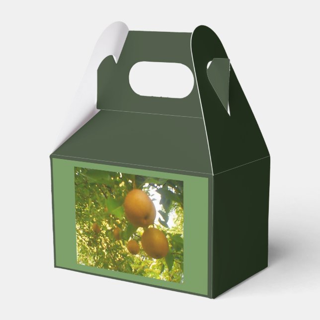 Pear Tree Harvest Favour Box (Back Side)