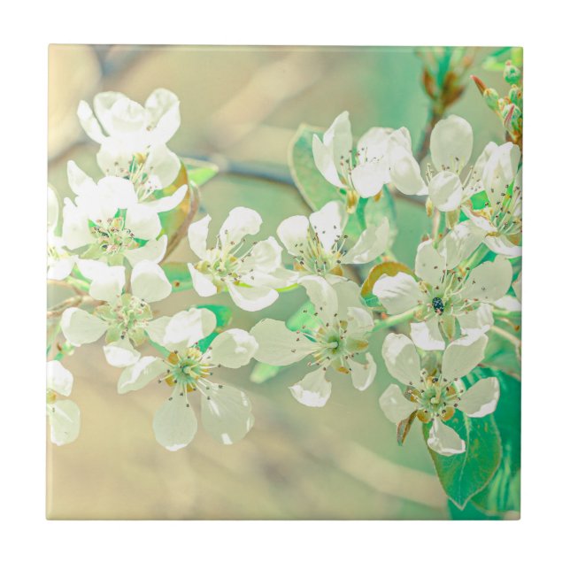 Pear Tree Spring Positive Vibes Leaves Flowers Tile (Front)