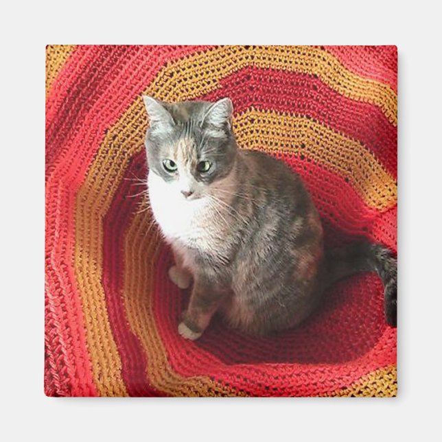 Pearl Cat on Afghan Magnet (Front)