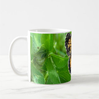 Pearl Crescent butterfly mug ©️dh26