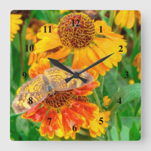 Pearl Crescent Butterfly on Sneezeweed Square Wall Clock