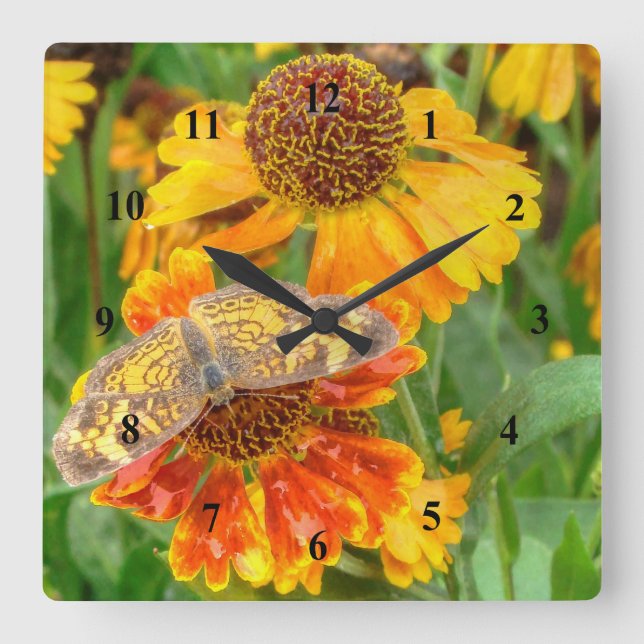 Pearl Crescent Butterfly on Sneezeweed Square Wall Clock (Front)