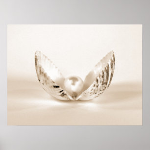 Pearl In Seashell Poster