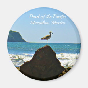 Pearl of the Pacific Mazatlan Mexico Bird Magnet
