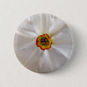 pearl white narcissus 6 cm round badge