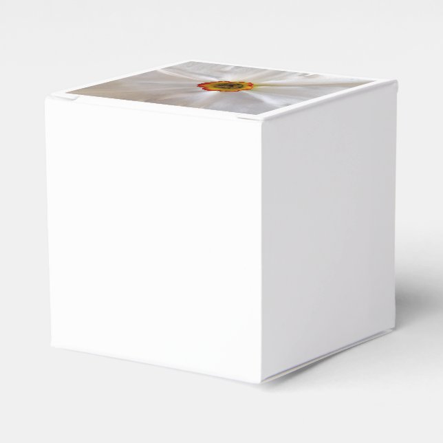 pearl white narcissus favour box (Front Side)