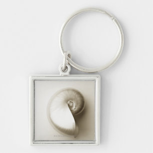 Pearlised nautilus sea shell 2 key ring