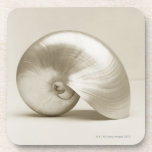 Pearlised nautilus sea shell coaster<br><div class="desc">Pearlised nautilus sea shell | Finn Fox | AssetID: 200454923-001</div>