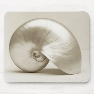 Pearlised nautilus sea shell mouse mat