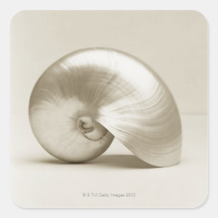 Pearlised nautilus sea shell square sticker