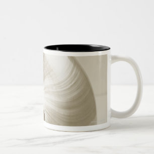 Pearlised nautilus sea shell Two-Tone coffee mug