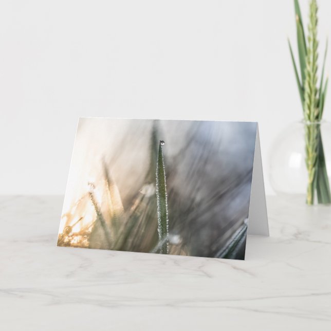 Pearls of Dew on Grass Card (Front)