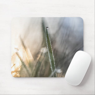 Pearls of Dew on Grass Mouse Mat