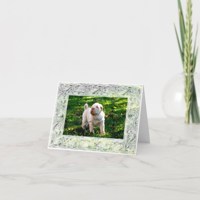 Pearly Gaits Note Card (Front)