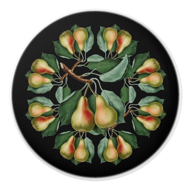 Pears ~ Black or Any Colour Background ~ * ~ Ceramic Knob (Front)