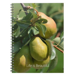 Pears Fruit (my photography) Notebook