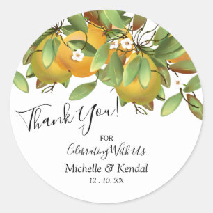 Pears Fruit   Thank You Classic Round Sticker