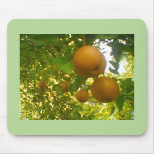 Pears in Full Bloom Mouse Mat